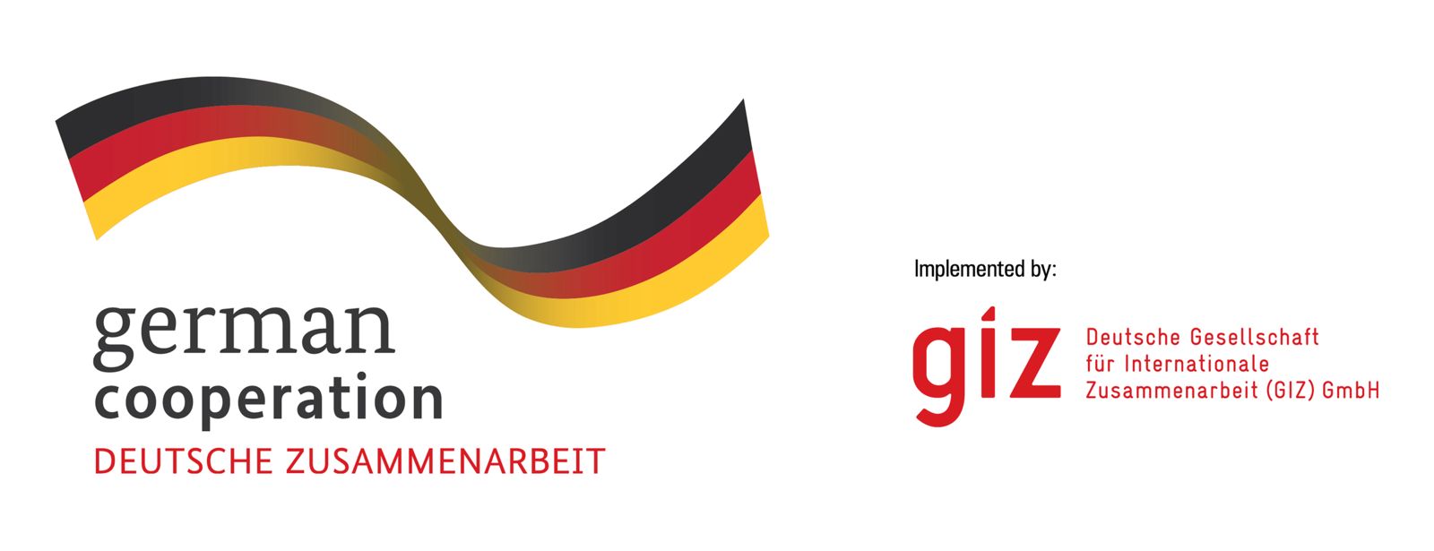 1 GIZ Logo
