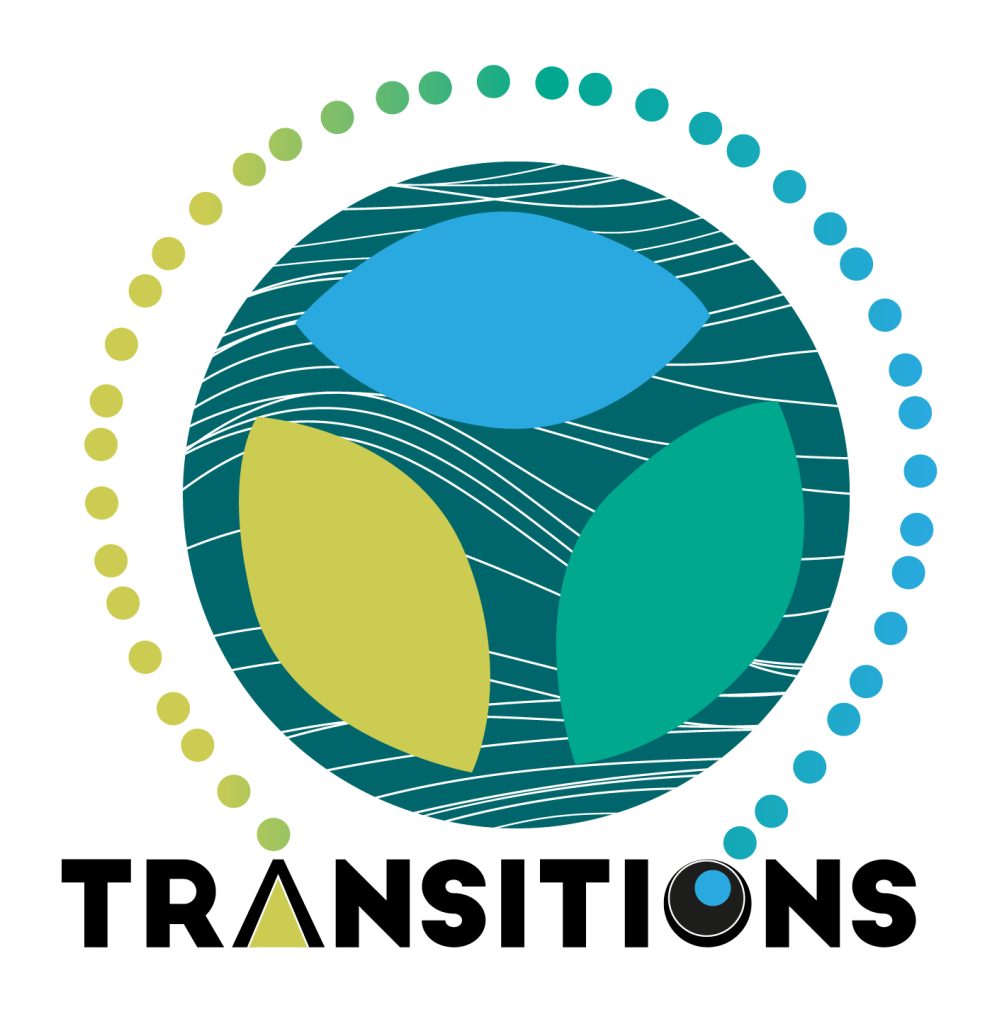 14 TRANSITIONS Logo vDEF