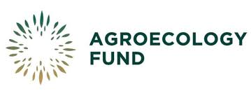 15 AEF Logo