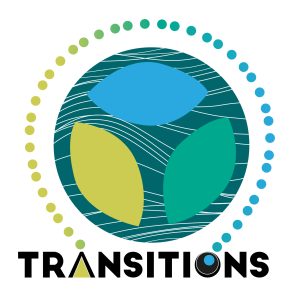 14 TRANSITIONS Logo vDEF