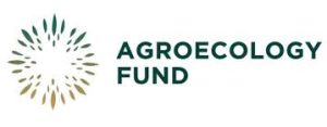 15 AEF Logo